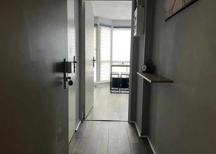 Piscine Olympique - Premiere Conciergerie